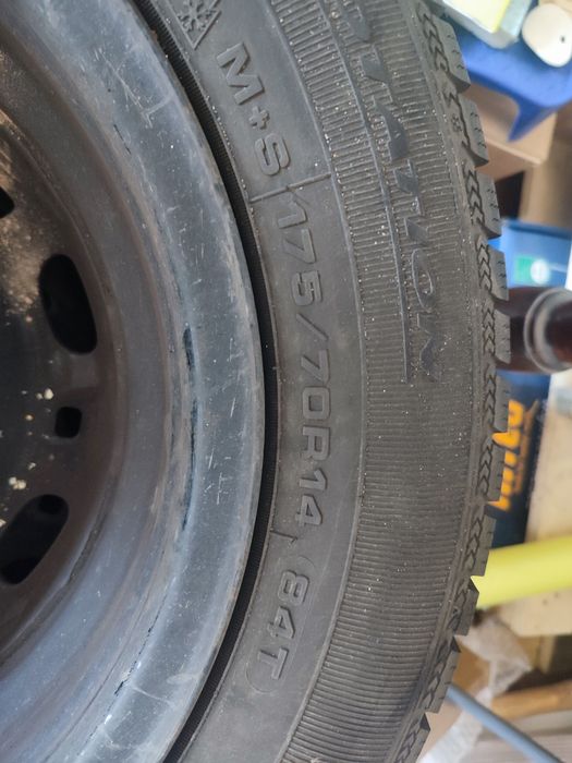 opony Dębica Frigo 175/70R14