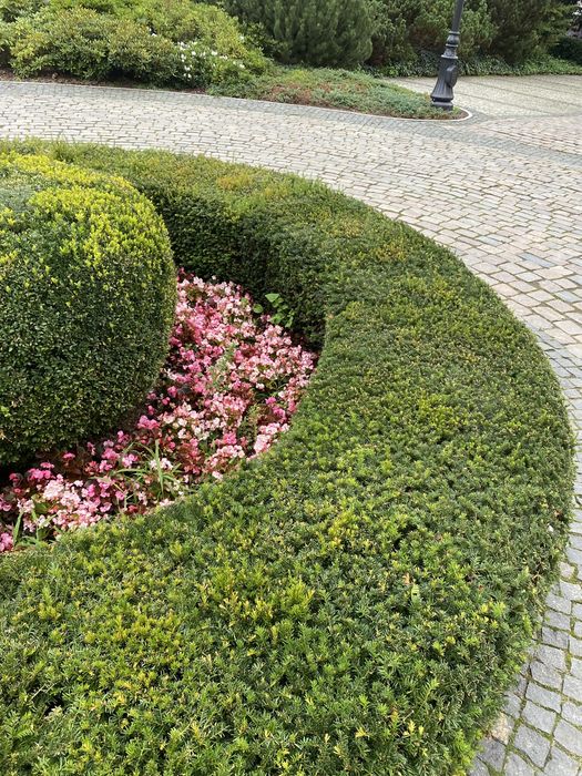 Ogrody - pielęgnacja i projektowanie malych terenów zieleni