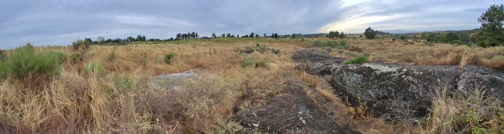 Terreno em São Miguel De Acha