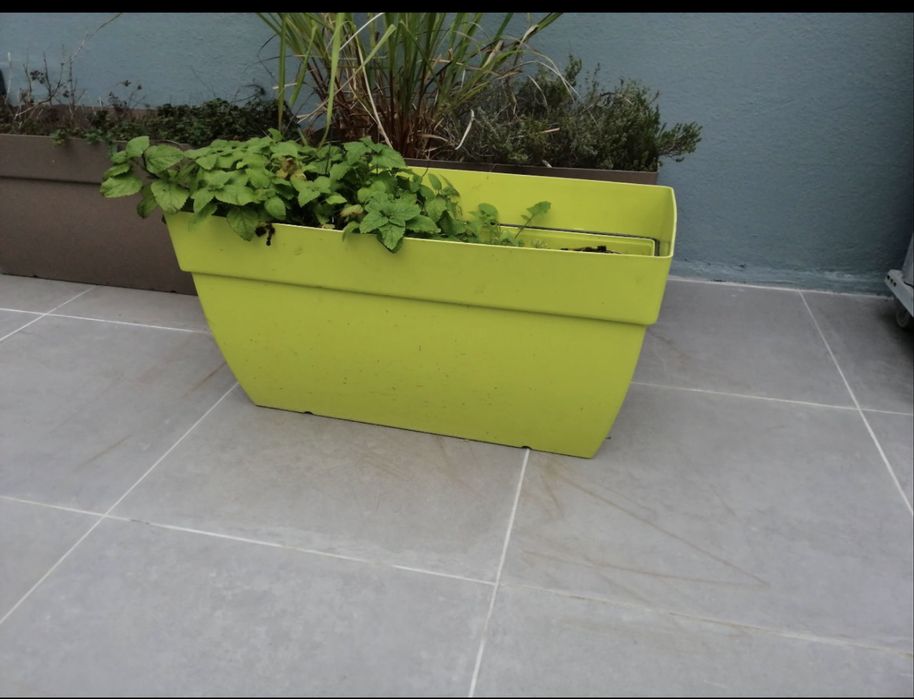 4 Vasos Floreiras Artevasi 80x40