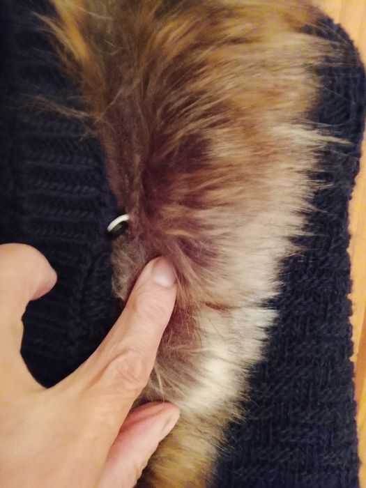 Capa de criança Tiffosi