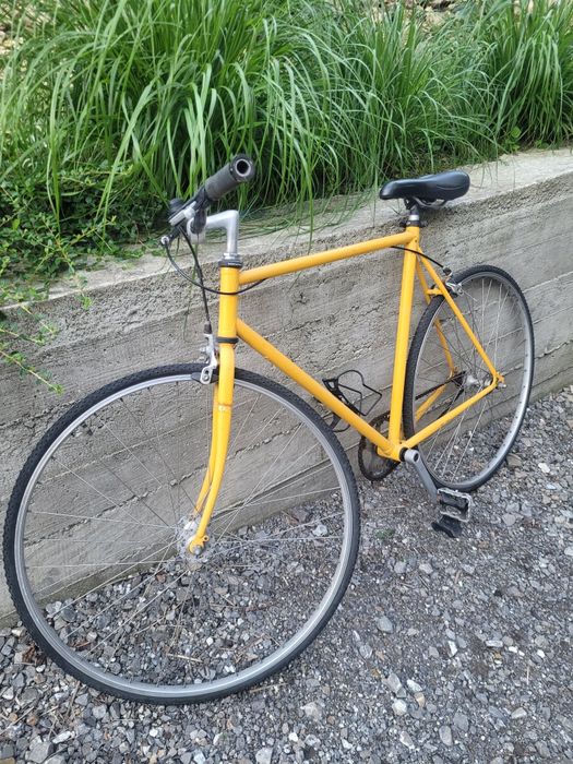 Rower miejski typ single -speed