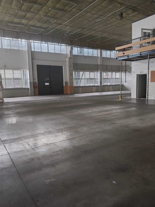 Hala magazyn, usługi, produkcja, brama poziom "0", duży parking!