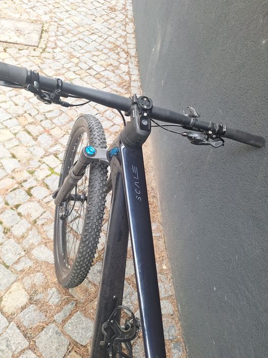 Btt  29 Scott SCALE