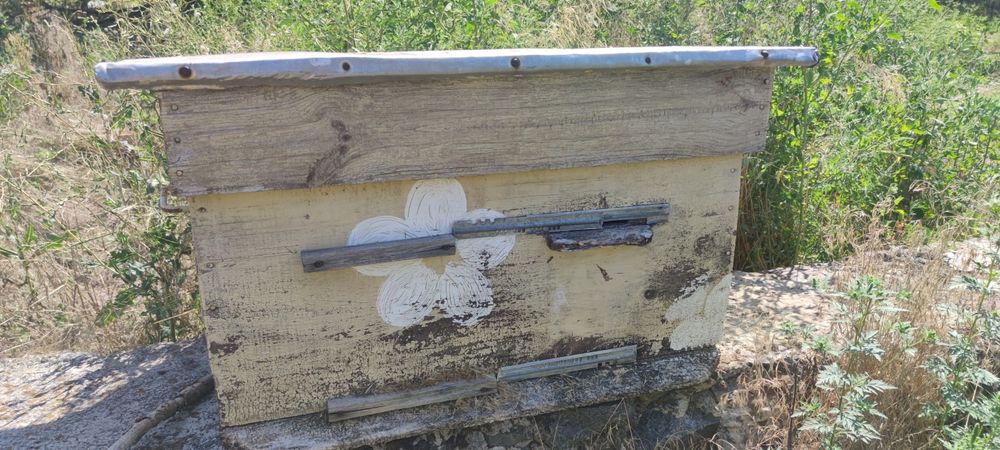 Продам вулики б/у "українські" на дві бжолосім'ї та дадани