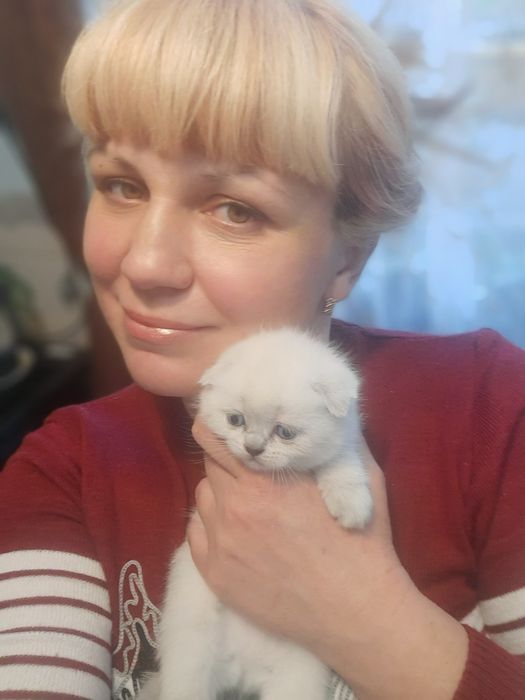 В пошуках родини