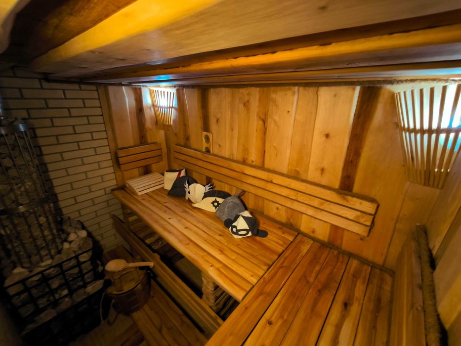 Оренда Дома Днепр отдых за городом. Посуточно. Баня, ЧАН. Сапы, каяки