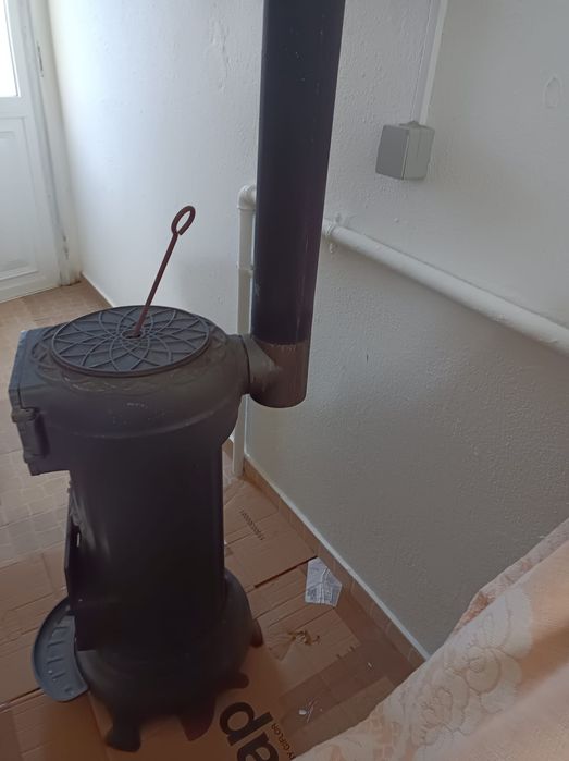 Salamandra em boas condições