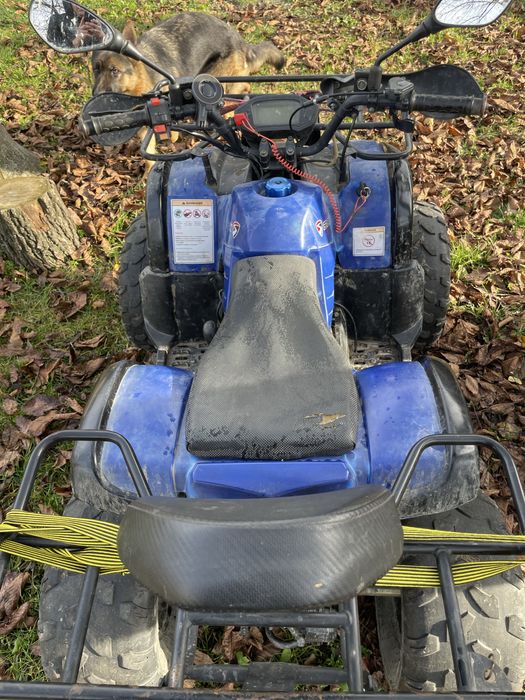 Квадроцикл спарк125