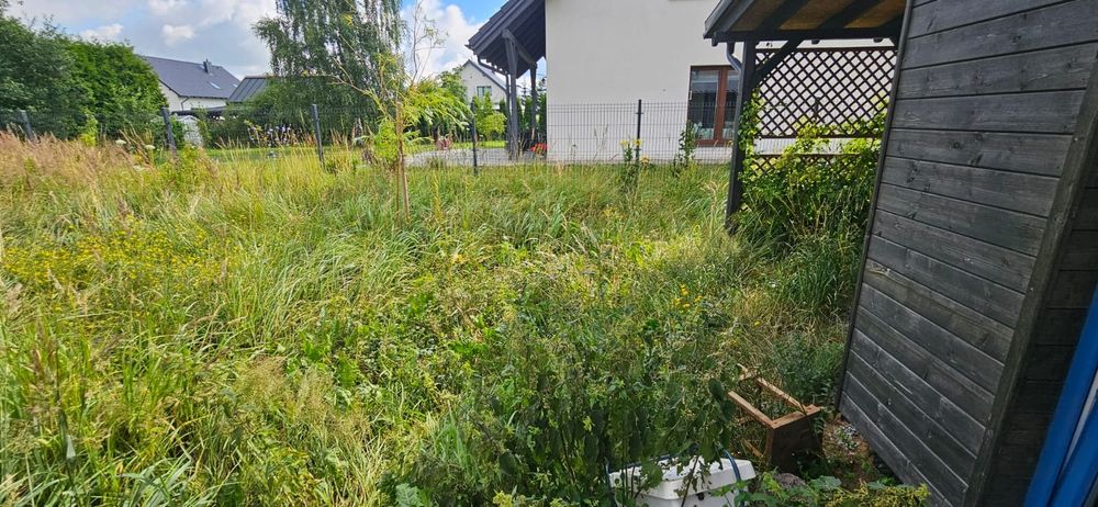Koszenie Trawy Karczowanie Gałęzi  Prace Rozbiurkowe