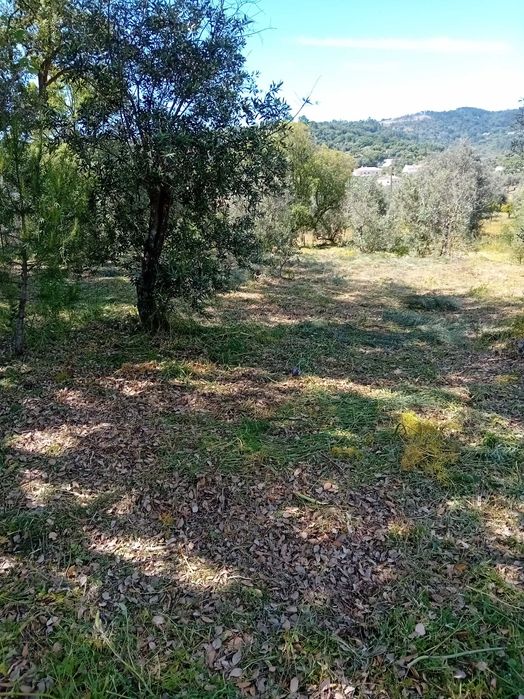 quinta  s mamede urra Alentejo Portalegre