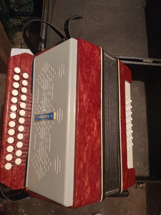 Harmonia akoredon