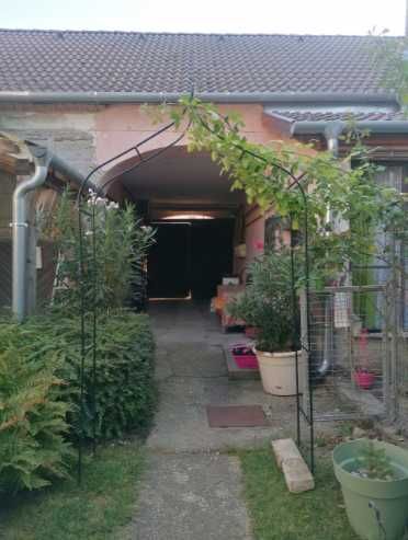 Пергола садова для рослин