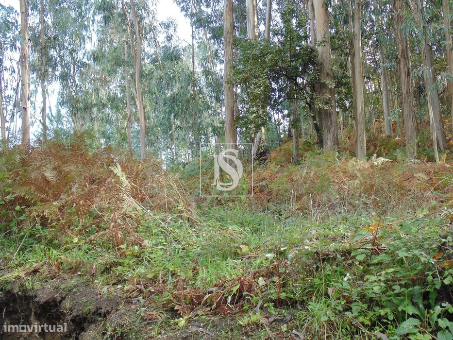 Terreno para Construção