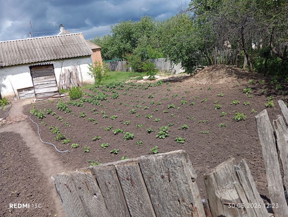 Продам дом в Скрипаях