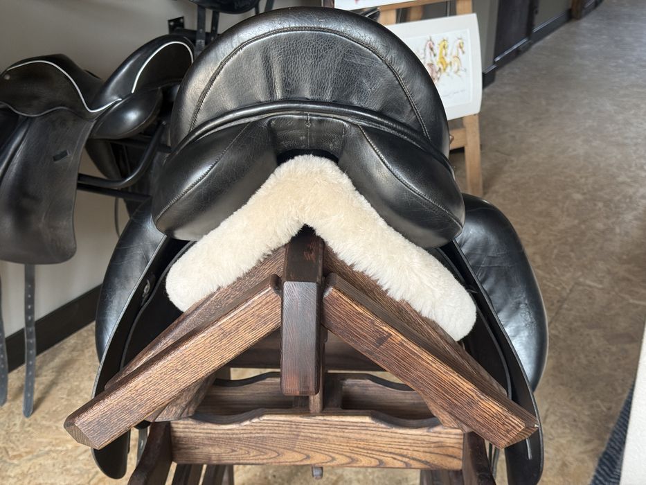 108. Kentaur Andromeda Dressage 17,5” / 33