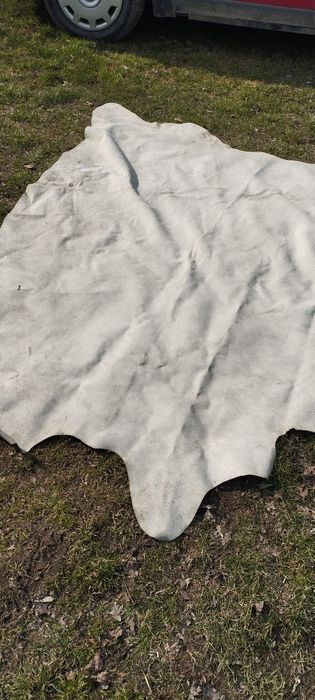 Skóra naturalna bydlęca 190x160 cm