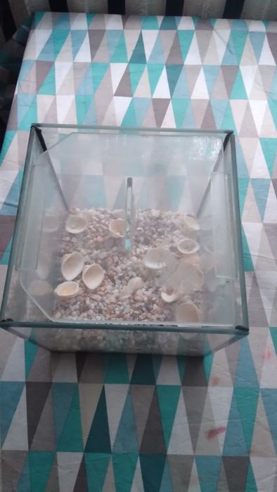 Продам акваріум на 5 літрів