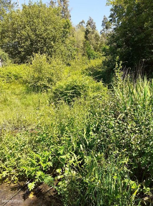 Terreno em Sanguedo, Santa Maria da Feira com 2923m2 — Sandim, Olival, Lever E Crestuma, Porto