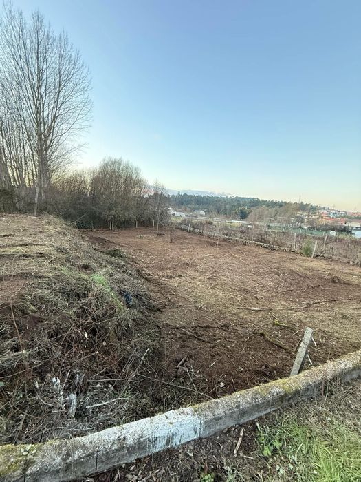 Limpeza de Terrenos , Jardinagem , Podas