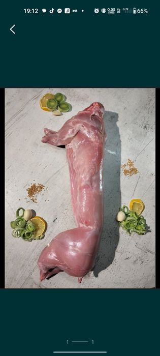 Sprzedam tuszki królicze