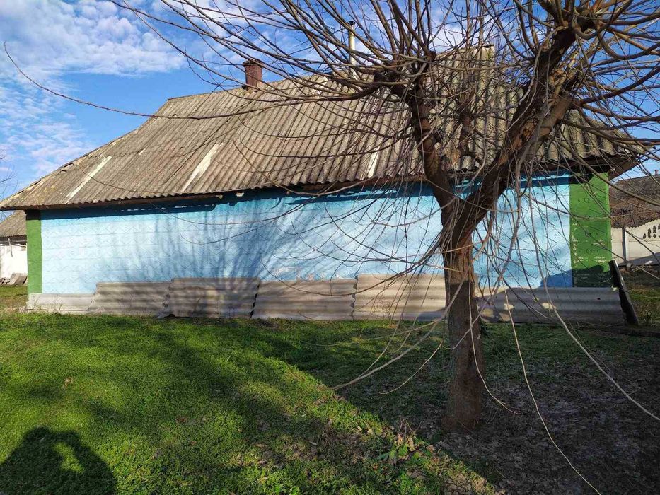 Продам будинок в селі Томилівка Білоцерківський район