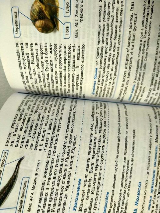 Біологія, 7 клас, Балан П.