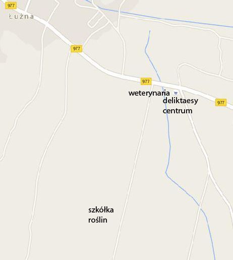 Borówka Amerykańska 2-3litry doniczka, 40-90cm
