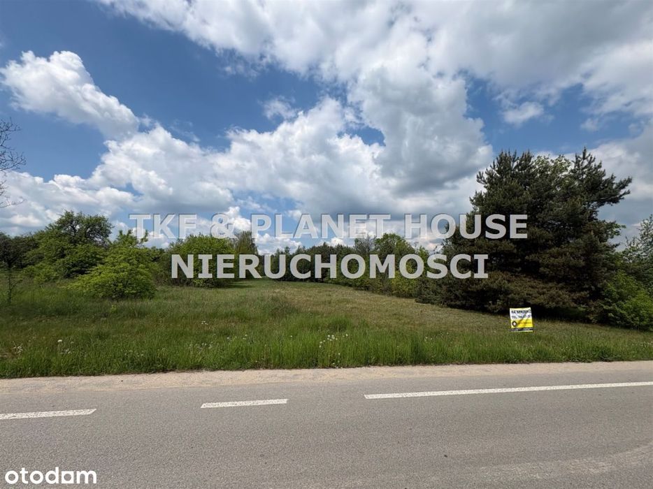 Działka Wz, Modrzew gm.Opoczno 2900 m² - Widok 5