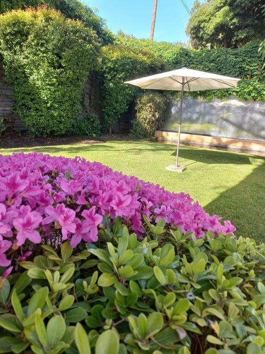 Jardinagem paisagismo e limpeza de piscinas