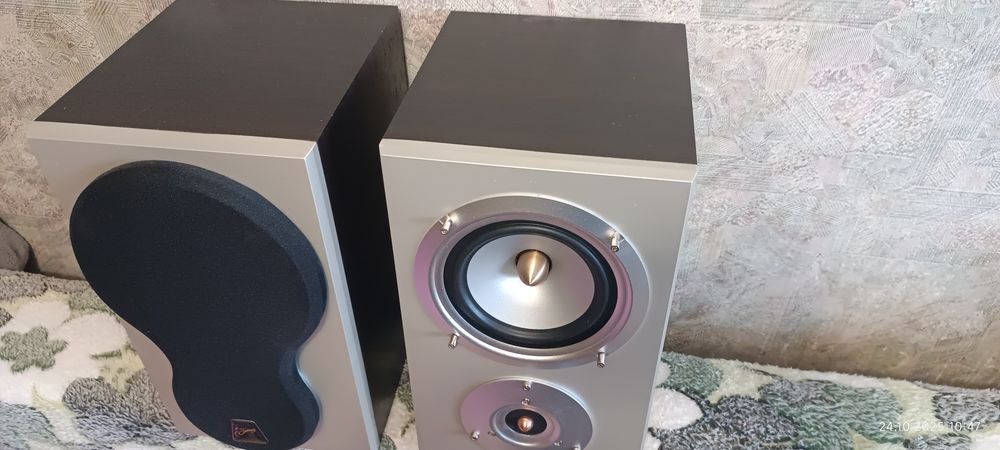 Акустика Swans D200R