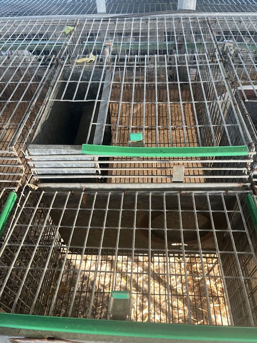Vendo gaiolas para coelhos de engorda e maternidade