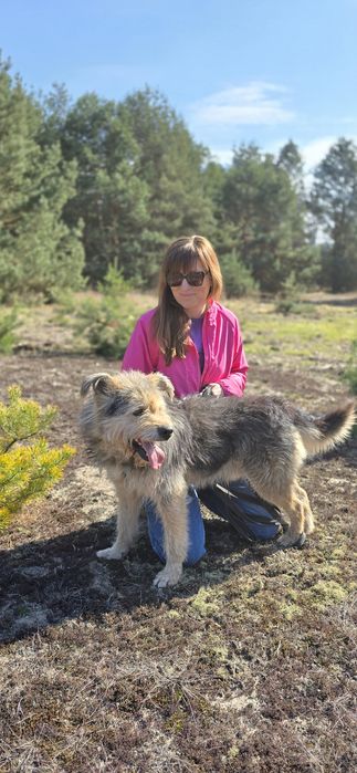 Fragles cudo misio kudłaty szuka chaty