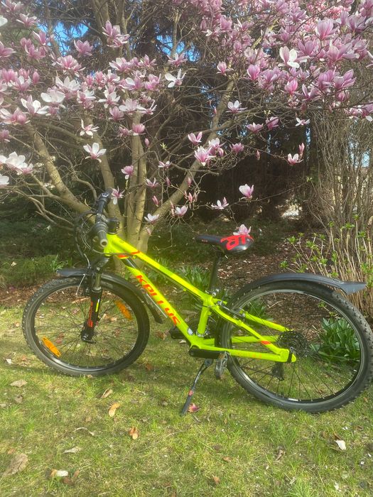 Rower Kellys Kiter 50, 24 cale, MTB , lekki, rama aluminium