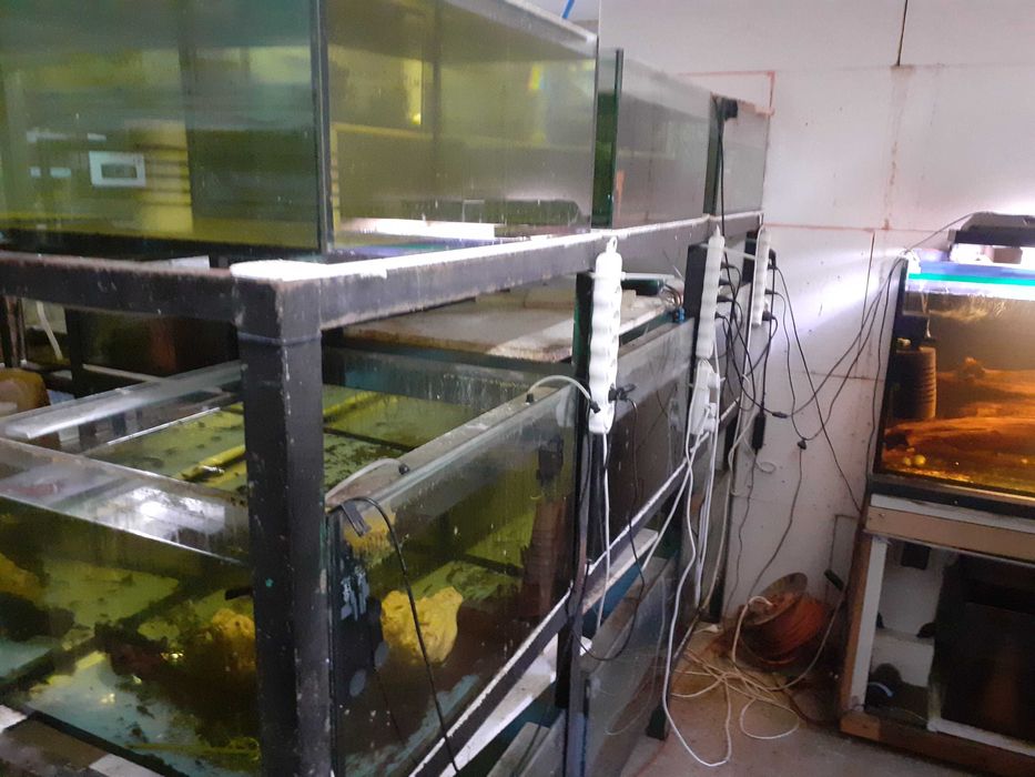 Sprzedam używany regał z  akwariami