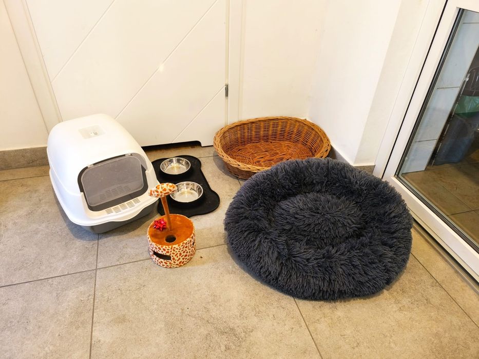 Kot, koci zestaw kuweta, leżaczek, miseczki, zabawka