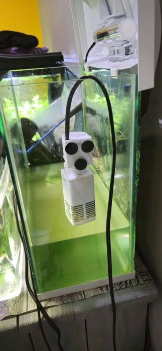 Akwarium   12 l aquael