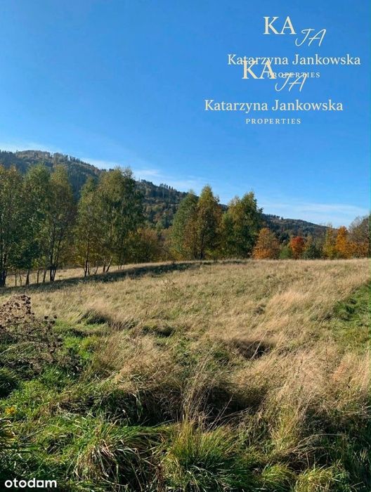 5 Działek | Walim | Blisko rzeczki i wyciągu
