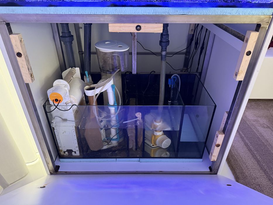 Aquario Agua Salgada Reef