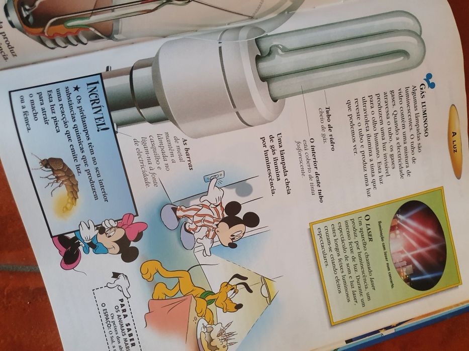 O maravilhoso mundo do conhecimento