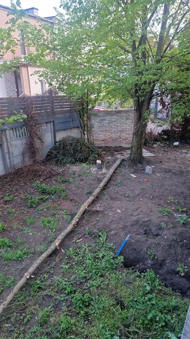 Oddam drewno/gałęzie za darmo