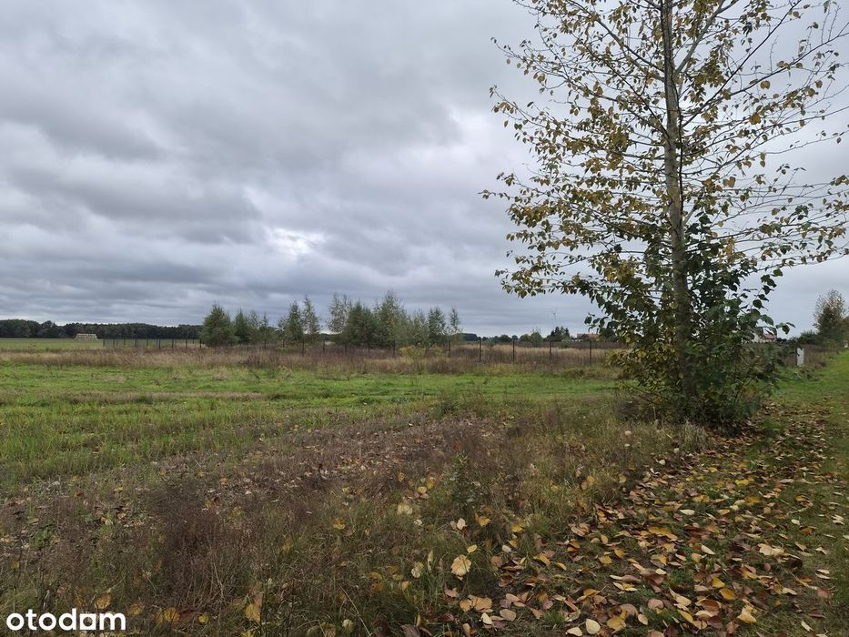 Działka budowlana 2693 m² blisko lasu