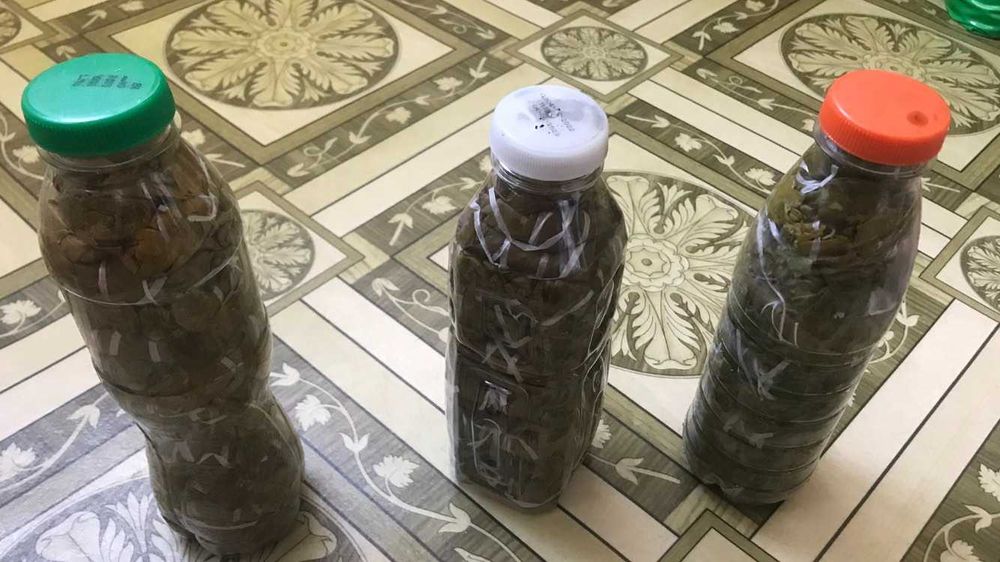 Лист виноградный для Долмы