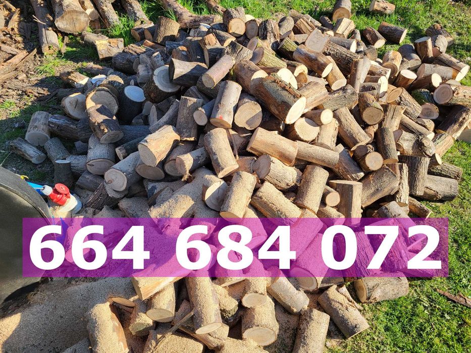 drewno kominkowe suchy dąb, na ognisko opałowe rozpałkowe