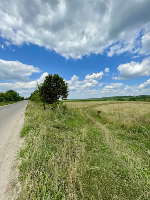 !!! Продаж ділянки 20 сот сільськогосподарського призначення !!! с. Шостаків