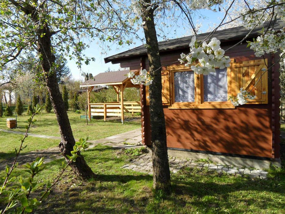 Sprzedam zadbaną działkę ROD