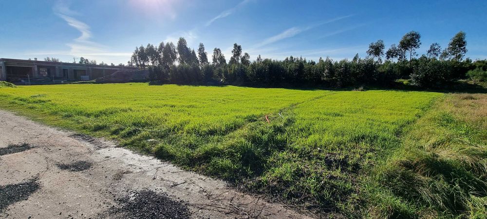 Terreno para construção c/2000m2 e furo agua