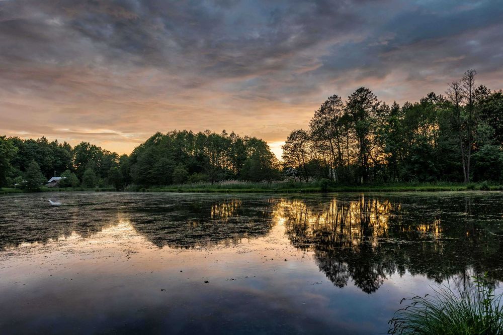 AleChatki - Przytulny domek na Roztoczu