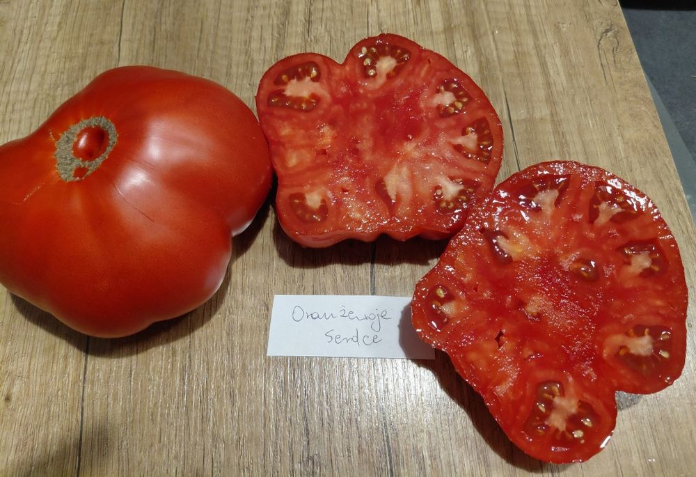 Kolekcjonerskie nasiona pomidorów