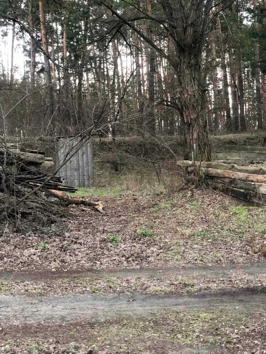 Пропоную до продажу будинок в с. Білозір'я